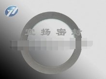 法兰垫片1的图片