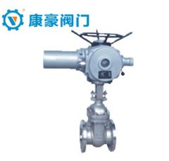 美标不锈钢电动闸阀的图片