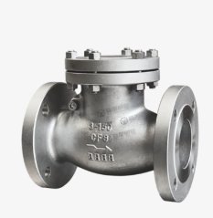 美标旋启式止回阀的图片