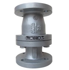 立式止回阀的图片