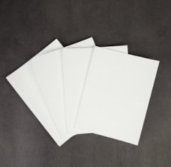 聚四氟乙烯（PTFE）膨体板的图片