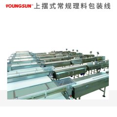 上摆式常规理料包装线的图片