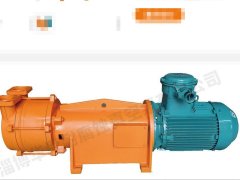 F2BV系列耐腐蚀液环式真空泵的图片