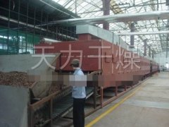 DWC系列脱水蔬菜带式干燥机的图片