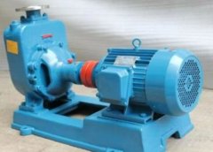 分体式自吸泵A的图片