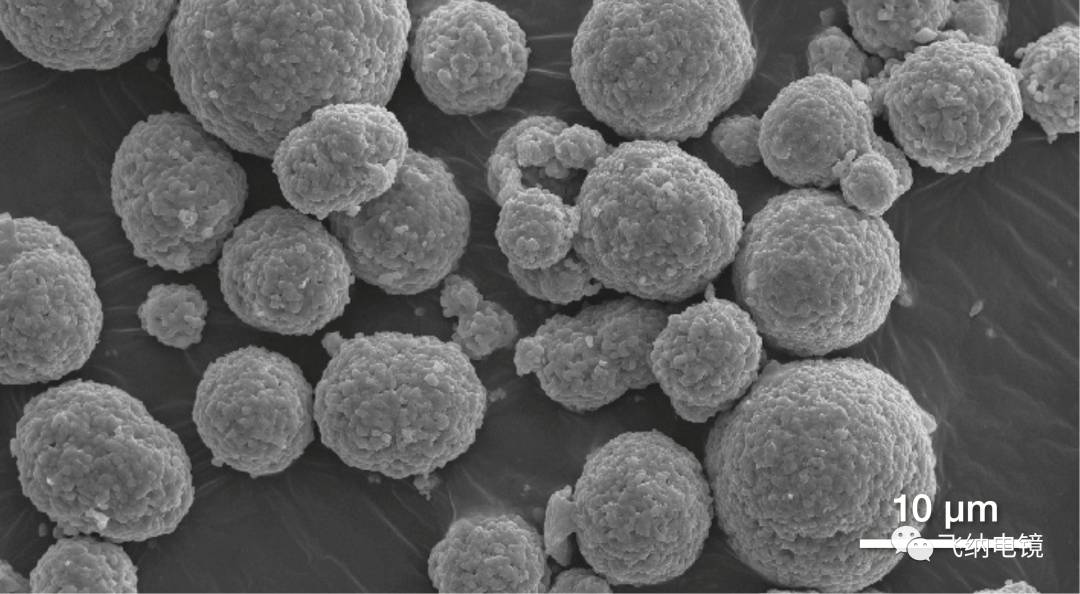 &nbsp;由 Phenom&nbsp;ParticleMetric 软件测量的多晶 NCM 颗粒，显示分布着大量的二次颗粒