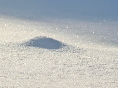 南京利可生新材料有限公司与您相约第三届全国碳酸钙交流会