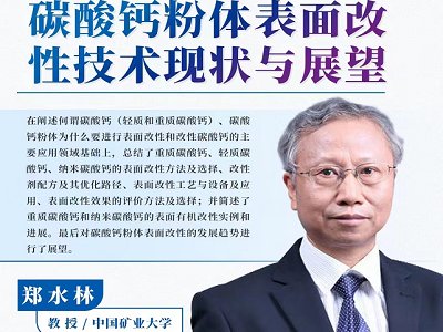 碳酸钙粉体表面改性技术现状与展望