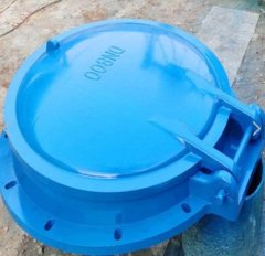 玻璃钢拍门A的图片