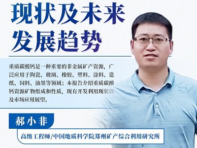 重质碳酸钙市场现状及未来发展趋势