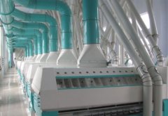 面粉机设备的图片