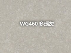 WG460 多瑙灰的图片