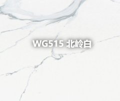 WG515 北岭白的图片