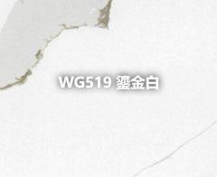 WG519 鎏金白的图片