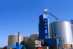 日处理500吨粮食烘干机的图片