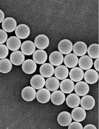 145136_892472_gsdt.png image.png