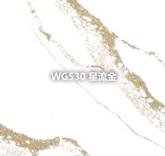 WG530 星流金的图片