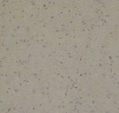 雅典娜黄的图片