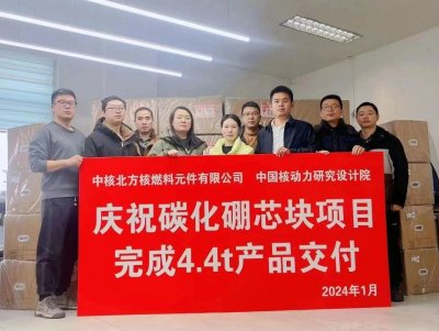 中核动力高密度碳化硼芯块批量化生产项目完成交付
