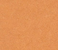 冰糖橙E7107WD20P32G的图片