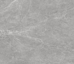 凯撒灰S09F197407的图片