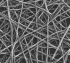20纳米直径银纳米线的图片