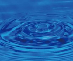 RuhrOrganic-based OP的图片