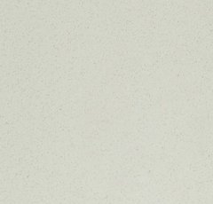 单色系列 6006 梦幻铂金的图片