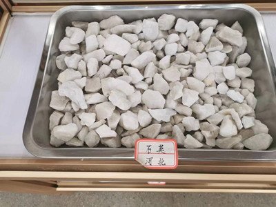全球色选在合肥！谷鑫色选机凭什么脱颖而出！