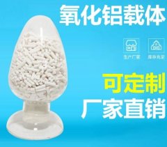 氧化铝载体的图片