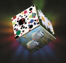 陶瓷墨水的图片