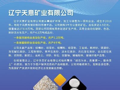 天意矿业与您相约临沂！第四届全国板材用石英砂供需洽谈会
