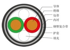 直流拉远电缆的图片