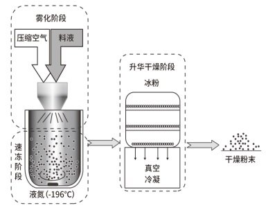 取长补短！喷雾冷冻干燥技术