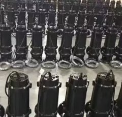 防爆潜污泵的图片