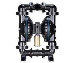 W80污水泵斯凯的图片