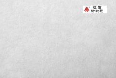 粒面 针刺毡的图片