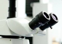 体视显微镜的图片