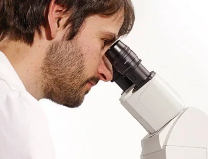 DIC显微镜的图片