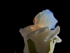 气凝胶材料的图片