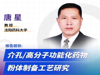 介孔/高分子功能化药物粉体制备工艺研究
