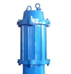 WQ潜污泵的图片