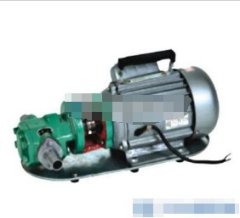 WCB-30手提式齿轮泵的图片