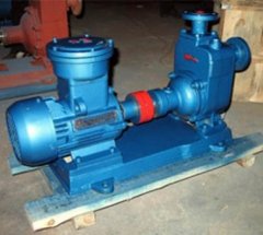 CYZ-A自吸油泵的图片