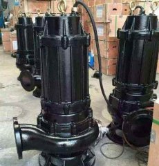 JYWQ自动搅匀排污泵的图片