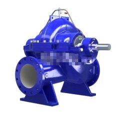 SOW双吸泵的图片