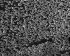 导热铝粉的图片