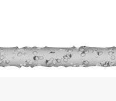 钨丝金刚石切割线的图片