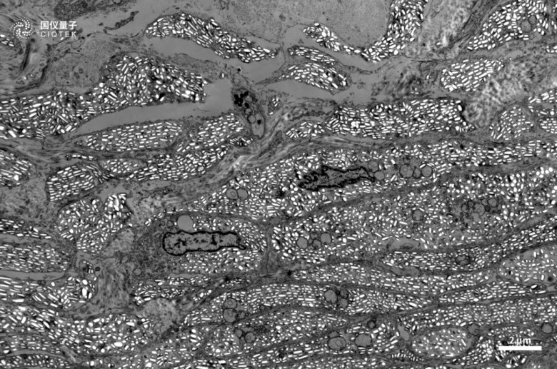 083035_736835_jswz.png 083035_736835_jswz.png