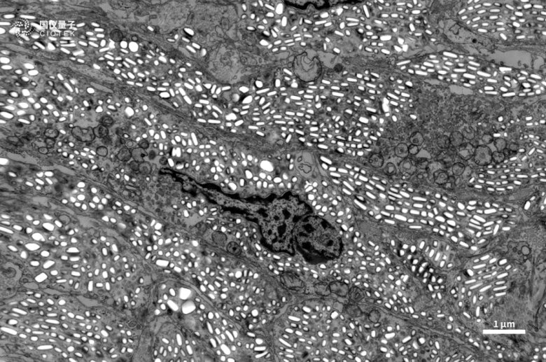 083056_520601_jswz.png 083056_520601_jswz.png